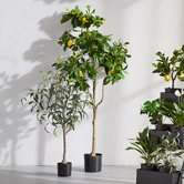 The Home Collective 180cm Potted Faux Lemon Tree