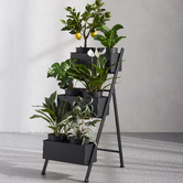 The Home Collective 7 Piece Arslan Plant Stand &amp; Pot Set