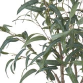 The Home Collective 150cm Potted Faux Eucalyptus Tree