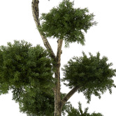 The Home Collective 120cm Green Potted Faux Cloud Pine Tree