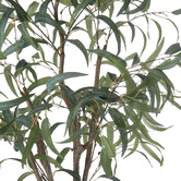 The Home Collective 180cm Potted Faux Eucalyptus Tree