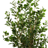 The Home Collective 180cm Potted Faux Ficus Tree