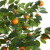 The Home Collective 180cm Potted Faux Cumquat Tree