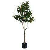 The Home Collective 180cm Potted Faux Lemon Tree