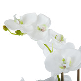 The Home Collective 68cm Faux Moth Orchid with Classic Bowl