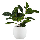 The Home Collective Tub Ceramic Pot