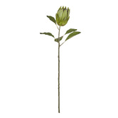 The Home Collective 79cm Faux Protea Stem