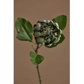The Home Collective 79cm Faux Protea Stem