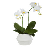 The Home Collective 41cm Potted Faux Phalaenopsis Orchid
