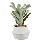 The Home Collective 47cm Potted Faux Staghorn Fern