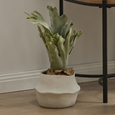 The Home Collective 47cm Potted Faux Staghorn Fern