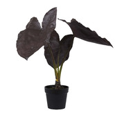 The Home Collective 82cm Potted Faux Alocasia Plant