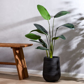 The Home Collective 152cm Potted Faux Bird Of Paradise Plant