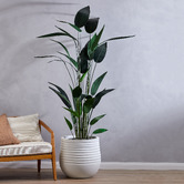 The Home Collective 213cm Potted Faux Sky Bird Plant