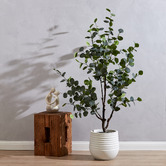 The Home Collective Potted Faux Eucalyptus Tree