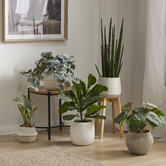 The Home Collective Cooper Ceramic Planter with Rubber Wood Stand