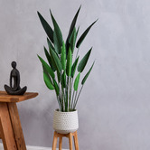 The Home Collective Cooper Ceramic Planter with Rubber Wood Stand