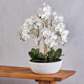 The Home Collective 83cm Potted Faux Butterfly Orchid Plant