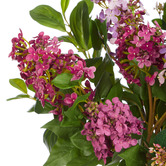 The Home Collective 59cm Faux Mixed Lilac with Glass Vase