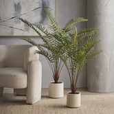 The Home Collective 102cm Potted Faux Fern Plant