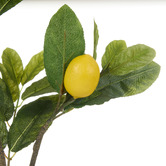 The Home Collective 91cm Faux Lemon Spray