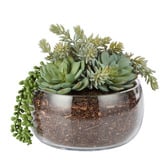 The Home Collective 27cm Faux Mixed Succulent with Glass Bowl