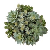 The Home Collective 34cm Faux Mixed Succulent with Glass Bowl