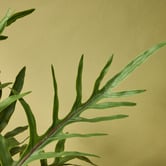 The Home Collective 39cm Potted Faux Blue Star Fern Plant