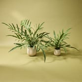 The Home Collective 39cm Potted Faux Blue Star Fern Plant