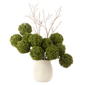 The Home Collective 65cm Green Faux Allium with Vase