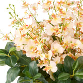 The Home Collective 49cm Faux Dancing Orchid with Vase