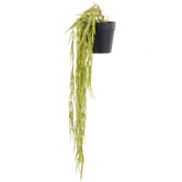 The Home Collective 50cm Potted Faux Hanging Hoya