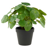 The Home Collective 25cm Potted Faux Pilea