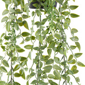 The Home Collective 78m Potted Faux Hanging Budding Bush