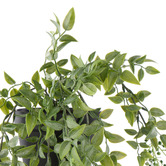 The Home Collective 78m Potted Faux Hanging Budding Bush