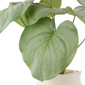 The Home Collective 57cm Faux Hosta with Vase