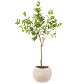 The Home Collective 125cm Potted Faux Ficus Tree