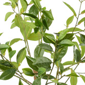 The Home Collective 125cm Potted Faux Ficus Tree
