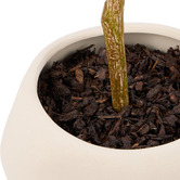 The Home Collective 125cm Potted Faux Ficus Tree