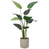 The Home Collective 145cm Potted Faux Bird of Paradise