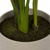 The Home Collective 145cm Potted Faux Bird of Paradise
