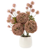 The Home Collective 43cm Pink Faux Allium Pompom Mix with Vase