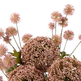 The Home Collective 43cm Pink Faux Allium Pompom Mix with Vase