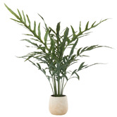 The Home Collective 81cm Potted Faux Blue Star Fern
