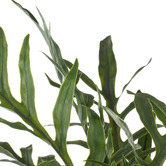 The Home Collective 81cm Potted Faux Blue Star Fern