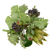The Home Collective 30cm Green Faux Protea Pod Mix Bouquet