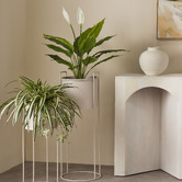 The Home Collective 60cm Potted Faux Spider Plant