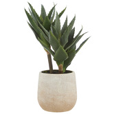 The Home Collective 33cm Faux 3 Head Aloe with Vase