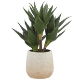 The Home Collective 33cm Faux 3 Head Aloe with Vase
