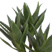 The Home Collective 33cm Faux 3 Head Aloe with Vase